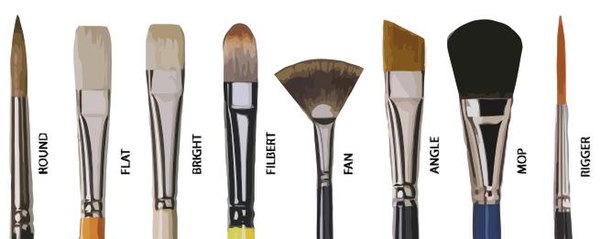 Eight different types of paintbrushes: From left to right: Round, flat, bright, filbert, fan, angle, mop, and rigger.